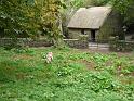 Bunratty- 064